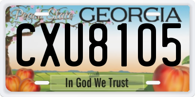 GA license plate CXU8105