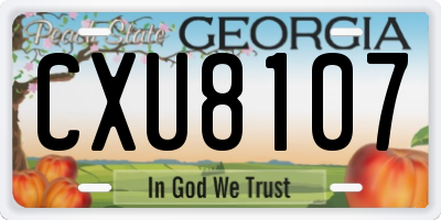 GA license plate CXU8107