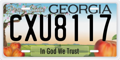 GA license plate CXU8117