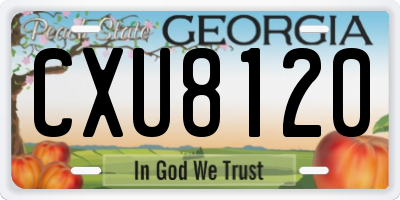 GA license plate CXU8120