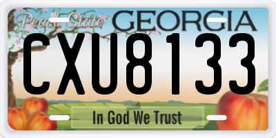 GA license plate CXU8133
