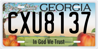 GA license plate CXU8137