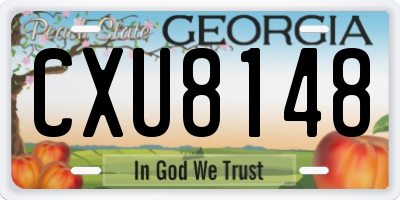 GA license plate CXU8148