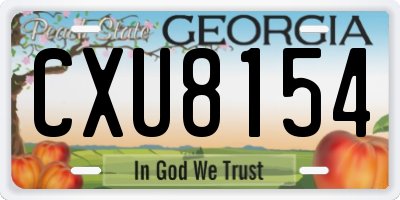 GA license plate CXU8154