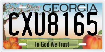 GA license plate CXU8165