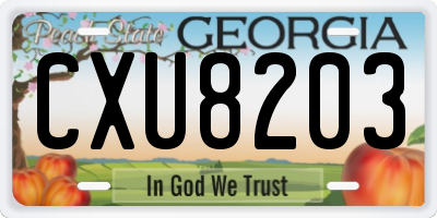 GA license plate CXU8203