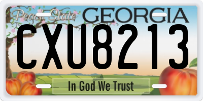 GA license plate CXU8213