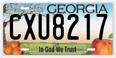 GA license plate CXU8217
