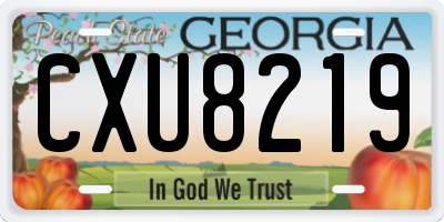 GA license plate CXU8219