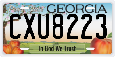 GA license plate CXU8223