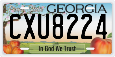 GA license plate CXU8224