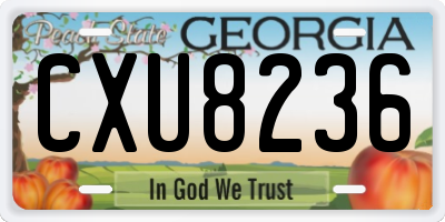 GA license plate CXU8236
