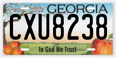 GA license plate CXU8238