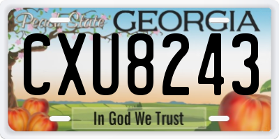 GA license plate CXU8243