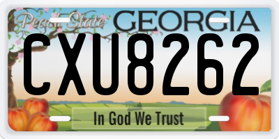 GA license plate CXU8262