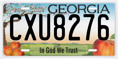GA license plate CXU8276