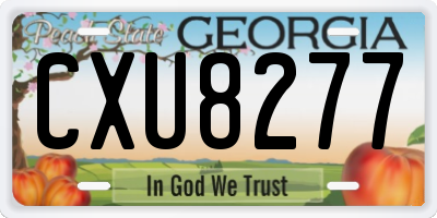 GA license plate CXU8277