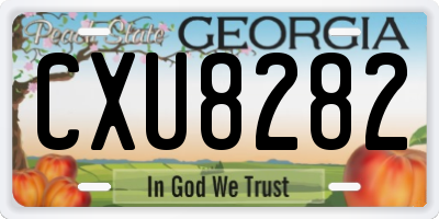 GA license plate CXU8282