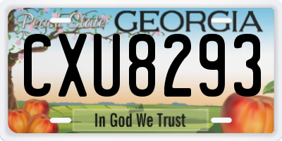 GA license plate CXU8293