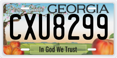 GA license plate CXU8299