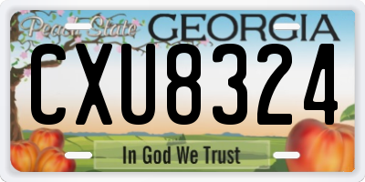 GA license plate CXU8324