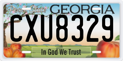 GA license plate CXU8329