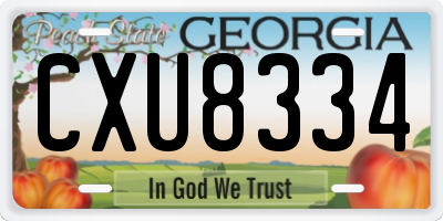 GA license plate CXU8334