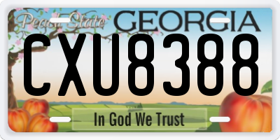 GA license plate CXU8388