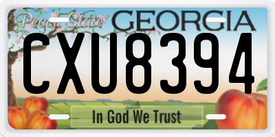 GA license plate CXU8394