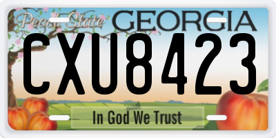GA license plate CXU8423