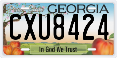GA license plate CXU8424