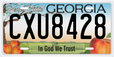 GA license plate CXU8428