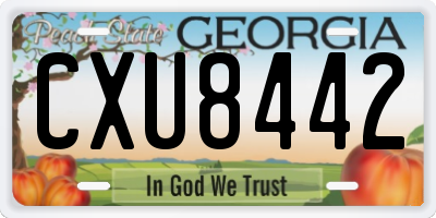 GA license plate CXU8442