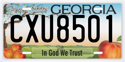GA license plate CXU8501
