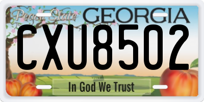 GA license plate CXU8502