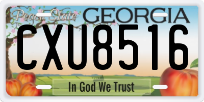 GA license plate CXU8516