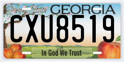 GA license plate CXU8519