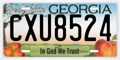 GA license plate CXU8524