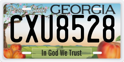 GA license plate CXU8528