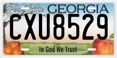 GA license plate CXU8529