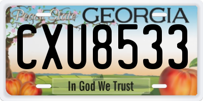 GA license plate CXU8533