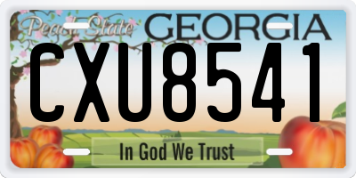 GA license plate CXU8541