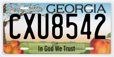 GA license plate CXU8542