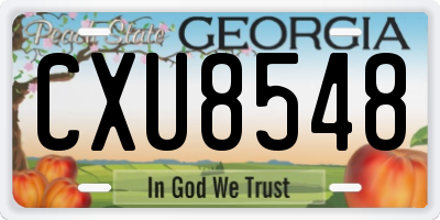 GA license plate CXU8548