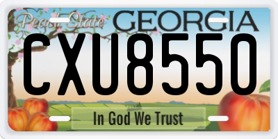 GA license plate CXU8550