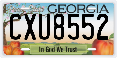 GA license plate CXU8552
