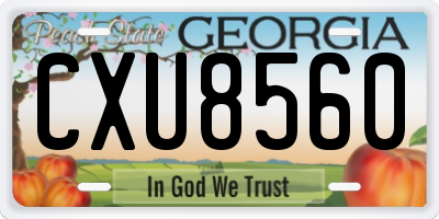 GA license plate CXU8560