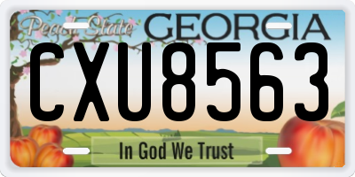 GA license plate CXU8563
