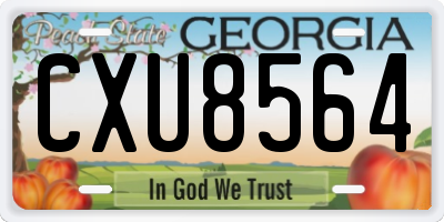 GA license plate CXU8564
