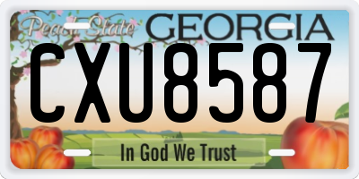 GA license plate CXU8587